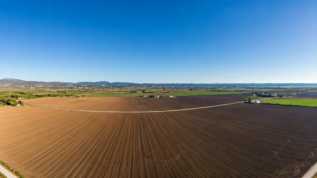 Imagen genérica de un campo agrícola vacío bajo un cielo azul, simbolizando un espacio para un proyecto solar.