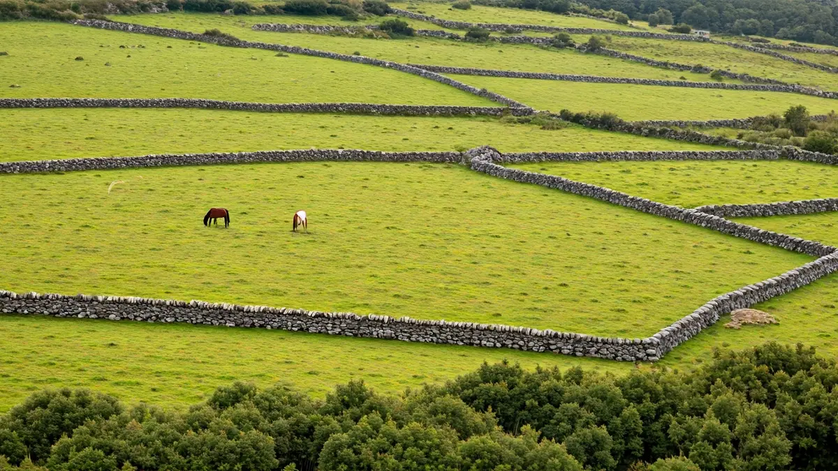 Imagen genérica de un paisaje rural gallego con caballos pastando.