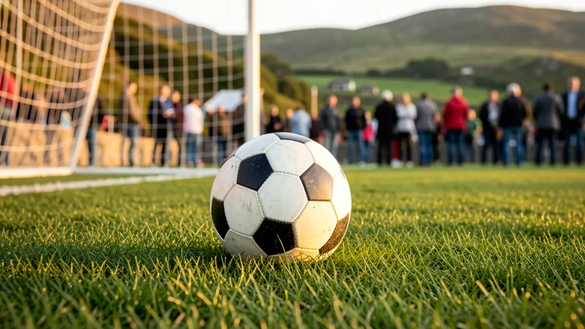 Imagen genérica de un balón de fútbol sobre hierba con red borrosa al fondo.