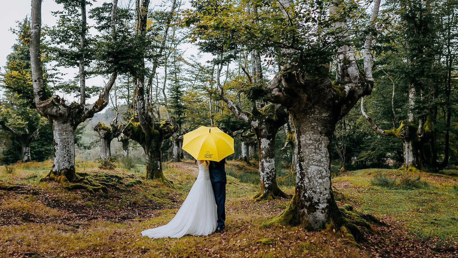 Pareja de novios bajo el paraguas amarillo en el Hayedo de Otzarreta – El Paraguas Amarillo