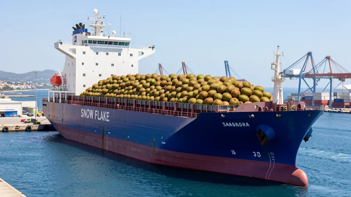 The Snow Flake ship docks at the Port of Tarragona with a large cargo of kiwis.