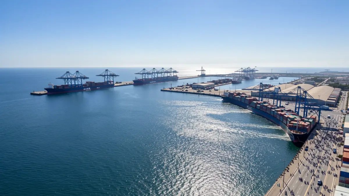 Aerial view of the port of Las Palmas with cargo ships and cranes.