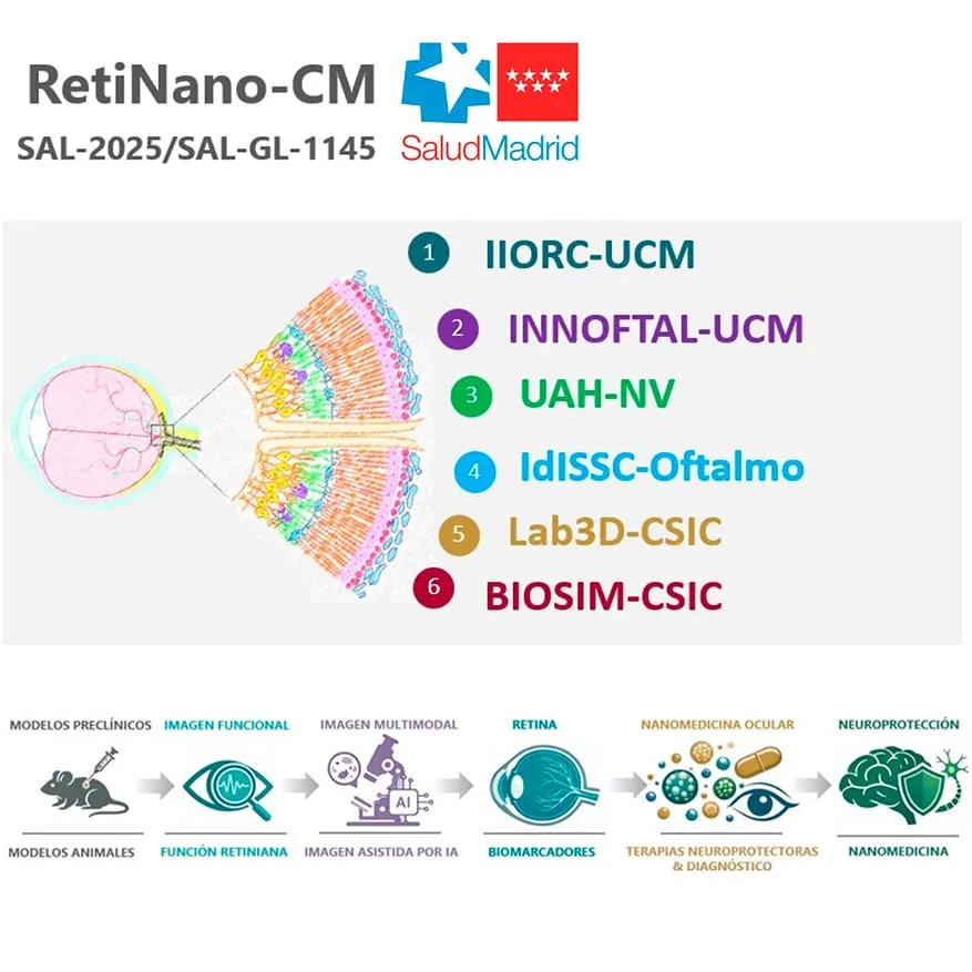 Madrid impulsa la neurociencia con la retina como modelo