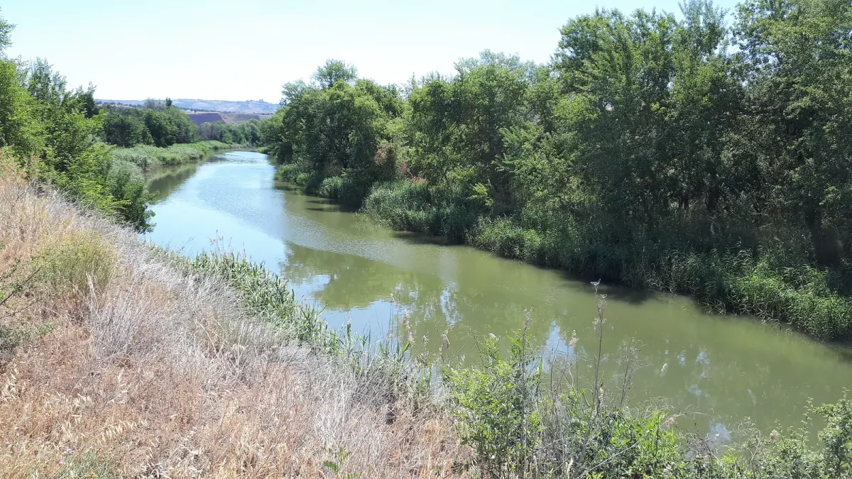 El río Henares a su paso por el Soto del Henares, en Alcalá de Henares, municipio donde tiene su sede IMDEA Agua. Foto: Raimundo Pastor (CC BY-SA 4.0).